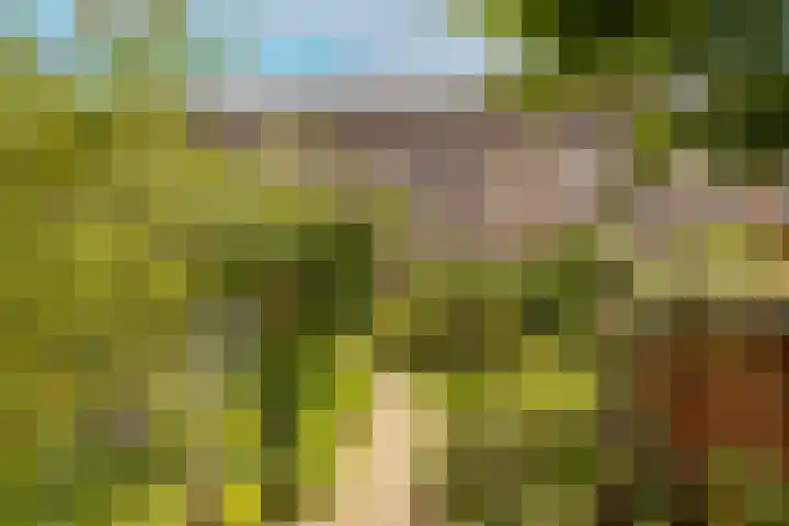 Vrouwenmantel 81 Schoonhoven thumbnail 59