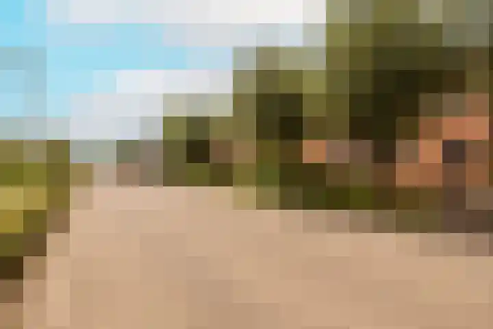 Vrouwenmantel 81 Schoonhoven thumbnail 6