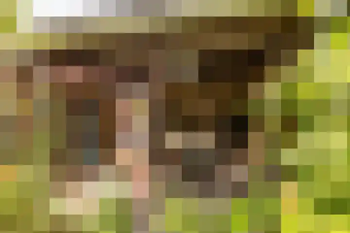 Vrouwenmantel 81 Schoonhoven thumbnail 61