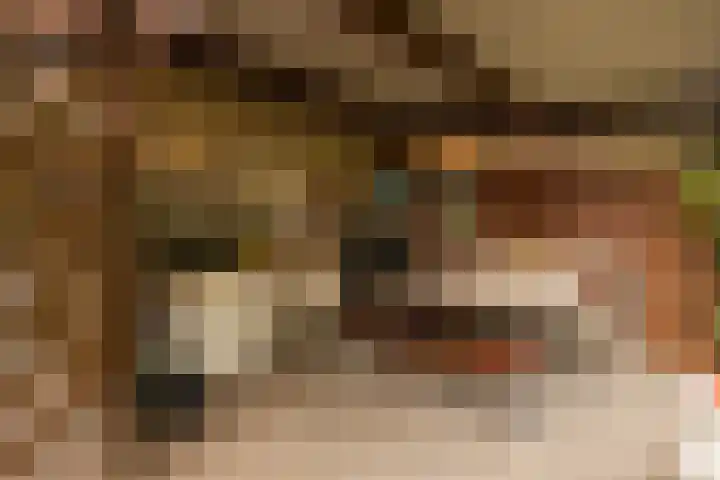 Vrouwenmantel 81 Schoonhoven thumbnail 62