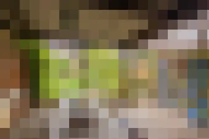 Vrouwenmantel 81 Schoonhoven thumbnail 64