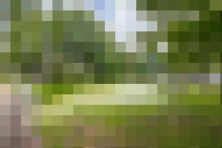 Vrouwenmantel 81 Schoonhoven thumbnail 68