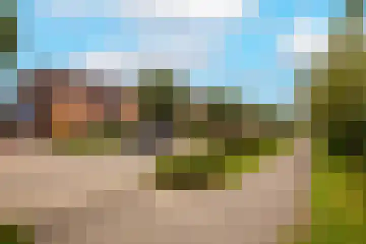 Vrouwenmantel 81 Schoonhoven thumbnail 7
