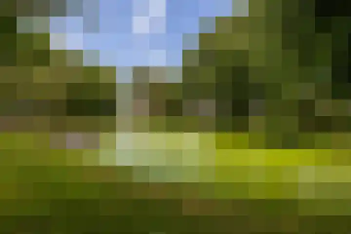Vrouwenmantel 81 Schoonhoven thumbnail 70