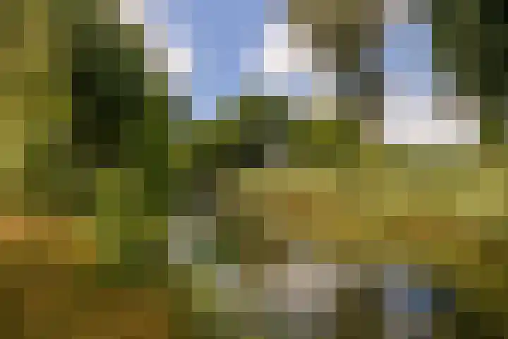 Vrouwenmantel 81 Schoonhoven thumbnail 71