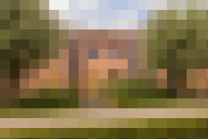 Vrouwenmantel 81 Schoonhoven thumbnail 8