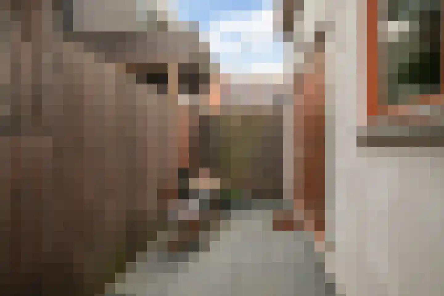 Vrouwenmantelstraat 7 Amsterdam thumbnail 14