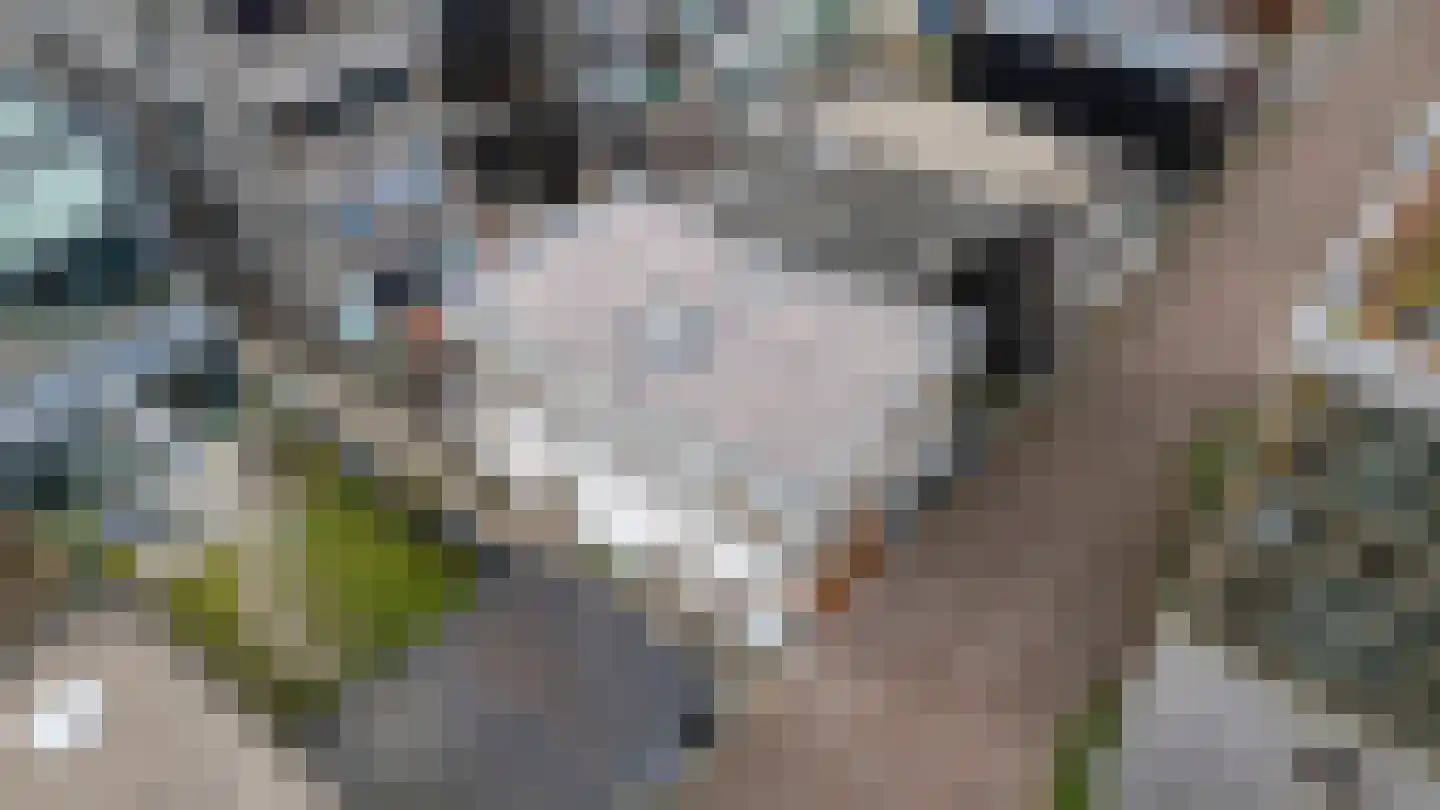 Vrouwenmantelstraat 7 Amsterdam thumbnail 41