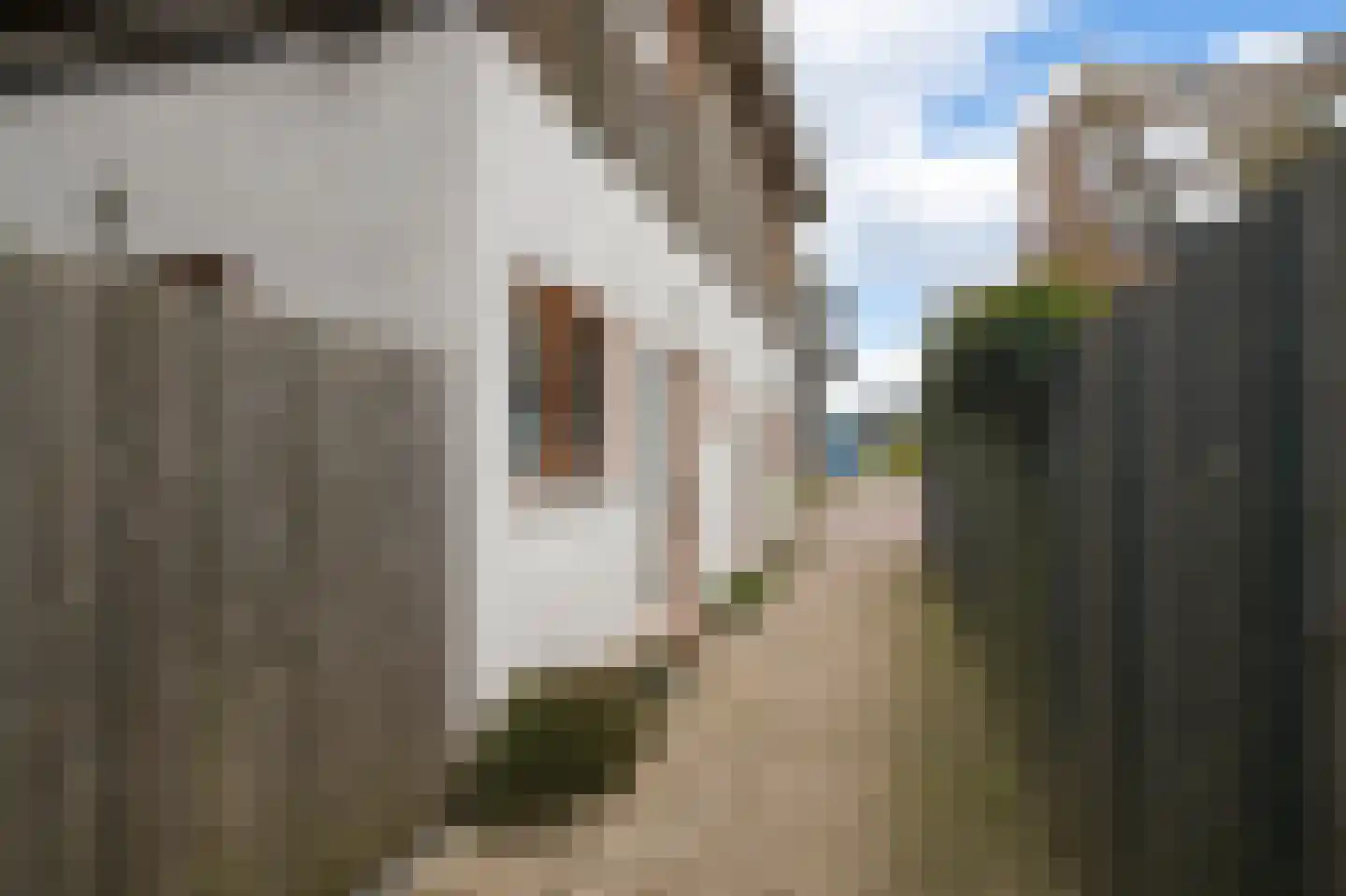 Vrouwenmantelstraat 7 Amsterdam thumbnail 43
