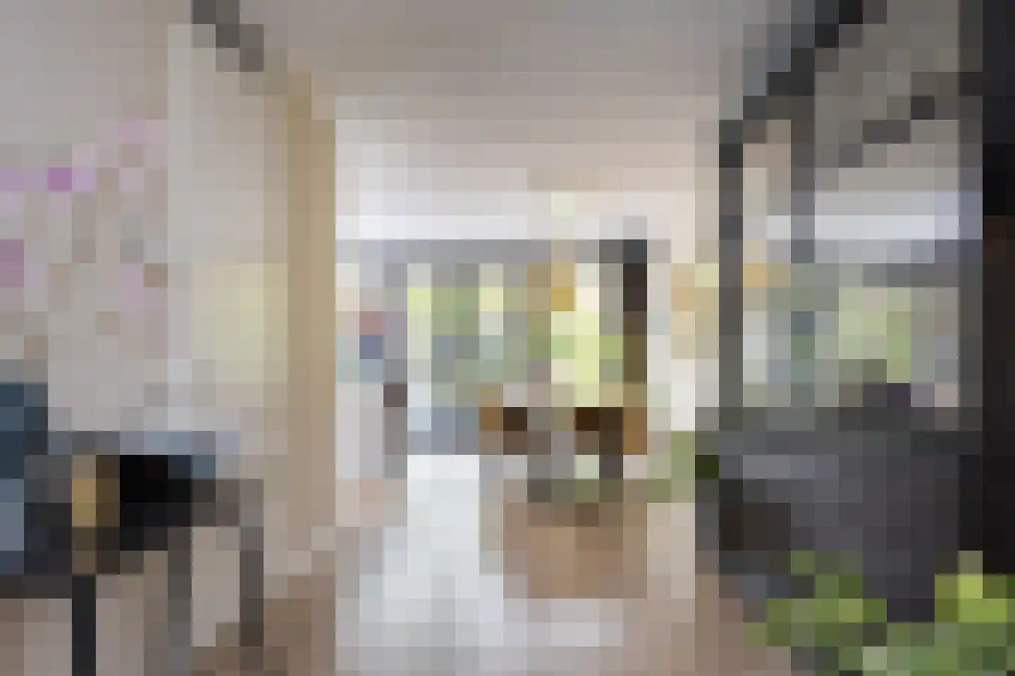 Vrouwenmantelstraat 9 Enschede thumbnail 13