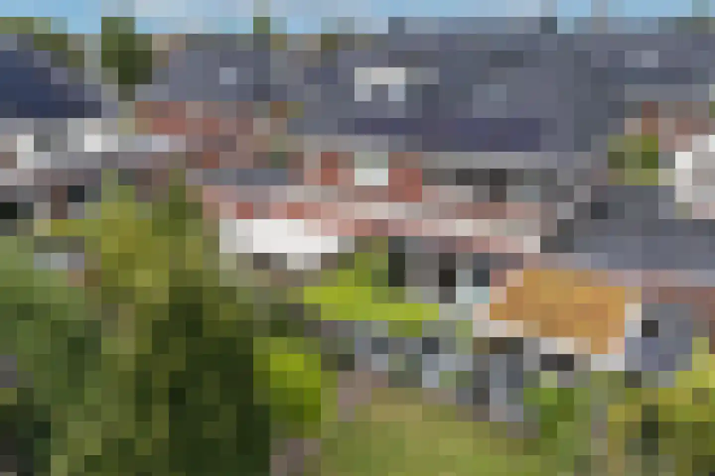 Vrouwenmantelstraat 9 Enschede thumbnail 40