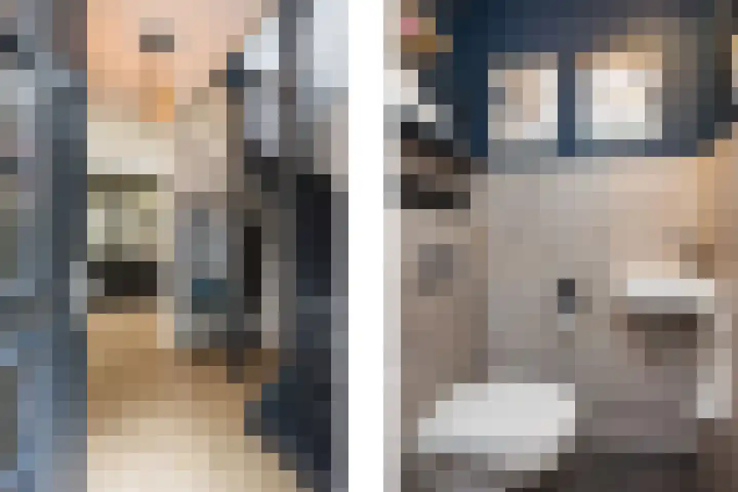 Vrouwenmantelstraat 9 Enschede thumbnail 8
