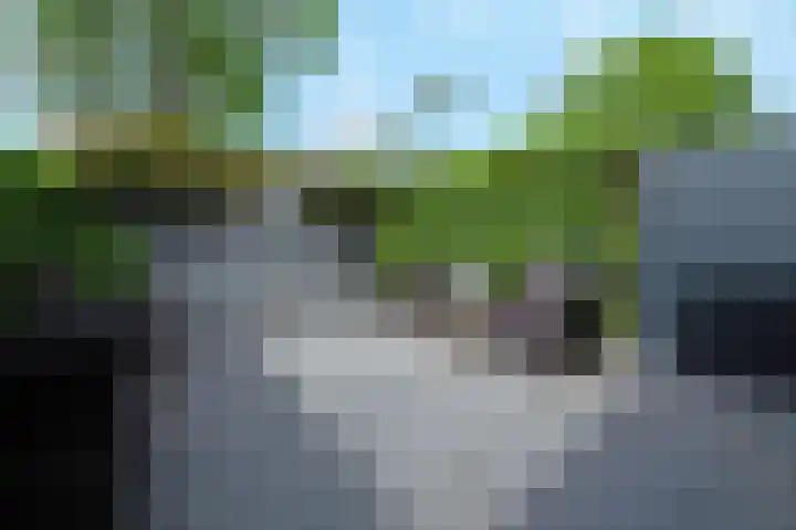 Vrouwenpolder 12 Amersfoort thumbnail 10