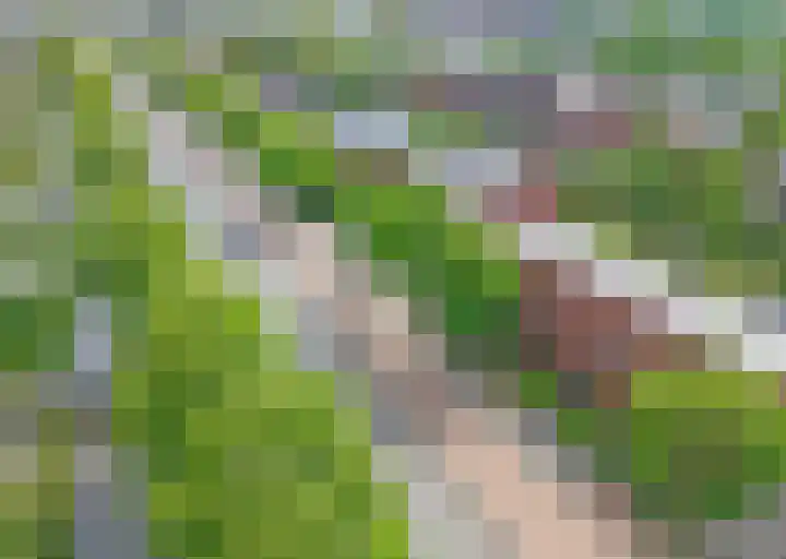 Vrouwenpolder 12 Amersfoort thumbnail 11