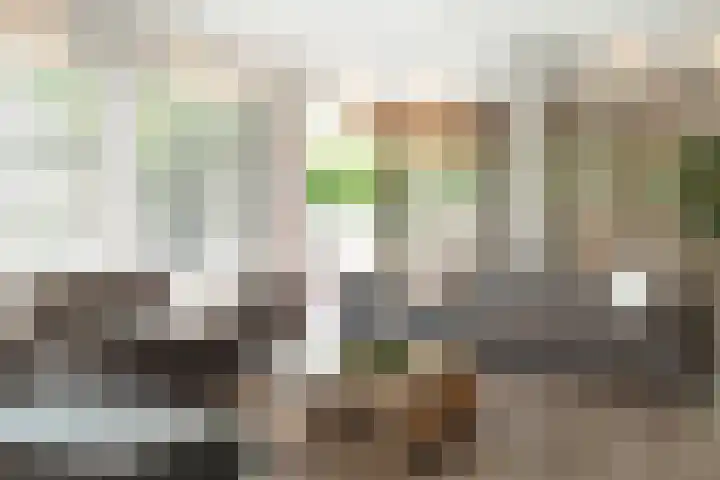 Vrouwenpolder 12 Amersfoort thumbnail 16