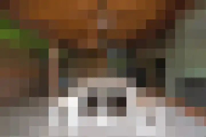 Vrouwenpolder 12 Amersfoort thumbnail 17