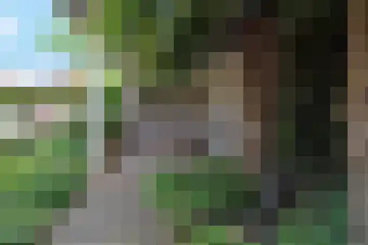 Vrouwenpolder 12 Amersfoort thumbnail 18