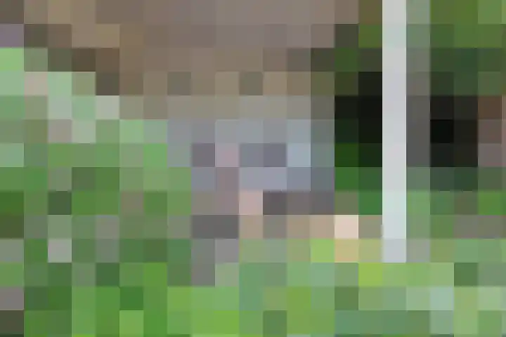 Vrouwenpolder 12 Amersfoort thumbnail 22