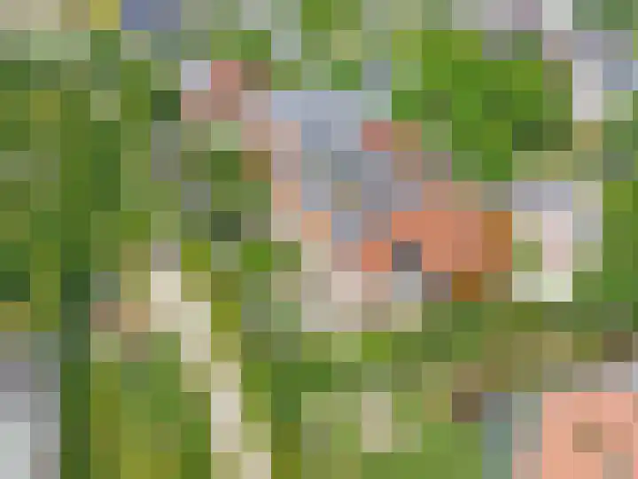 Vrouwenpolder 12 Amersfoort thumbnail 53