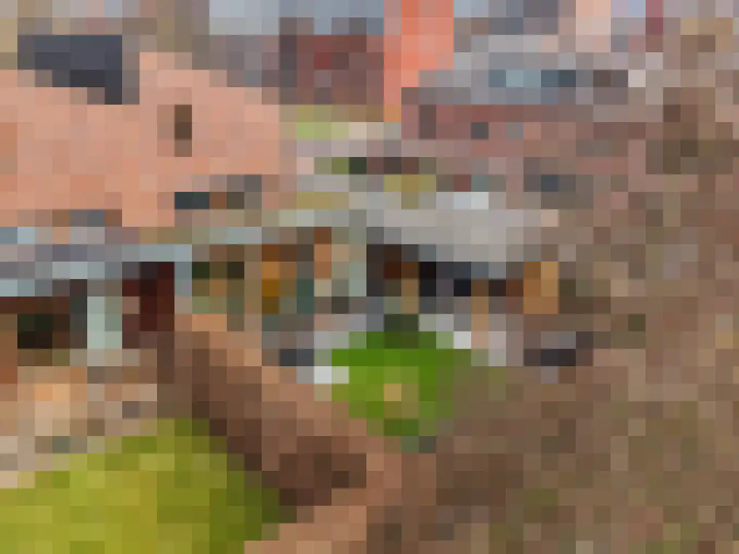 Vrouwenpolder 48 Amersfoort thumbnail 12
