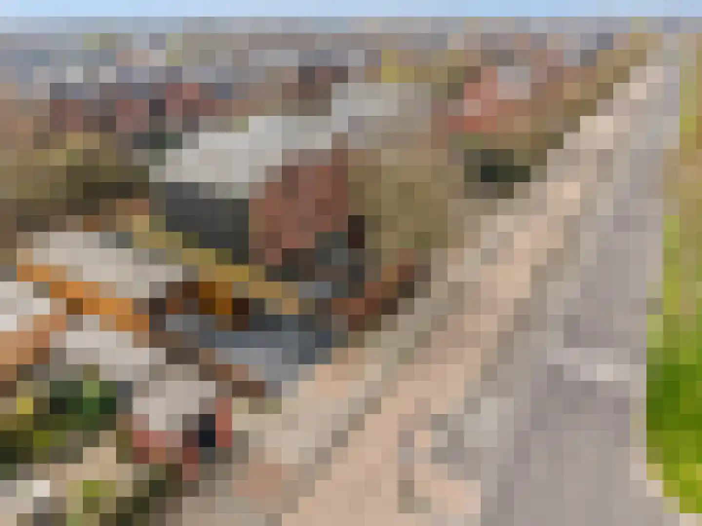 Vrouwenpolder 48 Amersfoort thumbnail 14