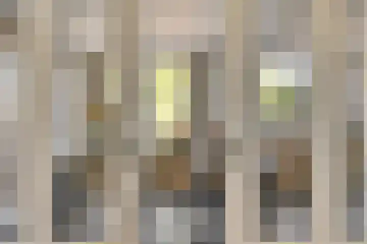 Vrouwenpolderseweg 7 Serooskerke thumbnail 14