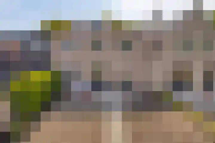 Vrouwenpolderseweg 7 Serooskerke thumbnail 4