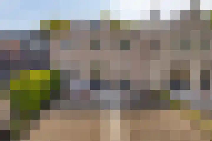 Vrouwenpolderseweg 7 Serooskerke thumbnail 45