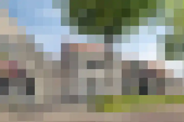 Vrouwenpolderseweg 7 Serooskerke thumbnail 52