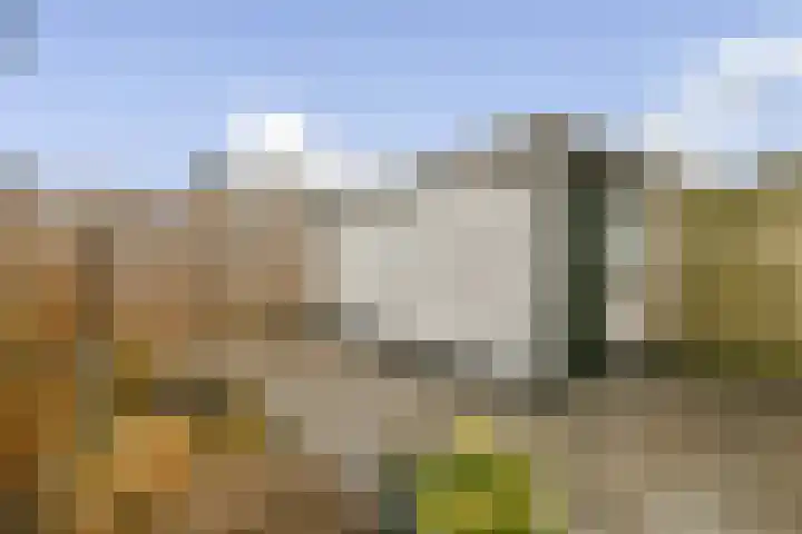 Vrouwenpolderstraat 29 Sassenheim thumbnail 12
