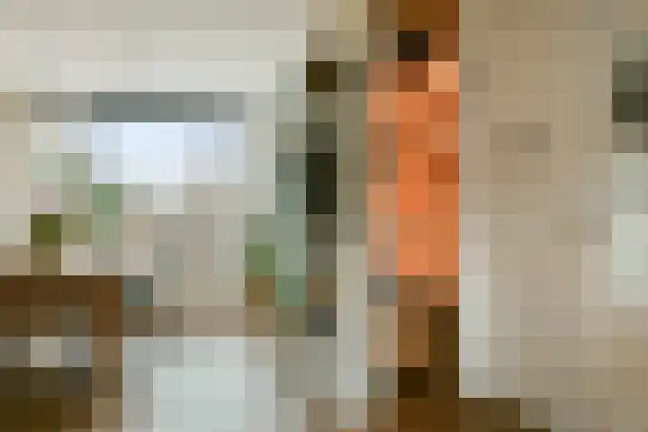Vrouwenpolderstraat 29 Sassenheim thumbnail 5