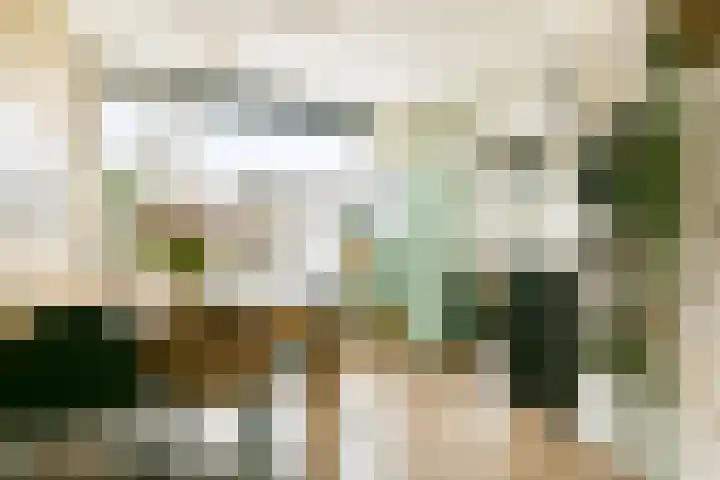 Vrouwenpolderstraat 29 Sassenheim thumbnail 6