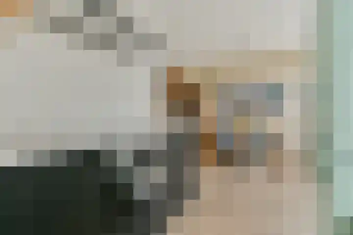Vrouwenpolderstraat 29 Sassenheim thumbnail 9