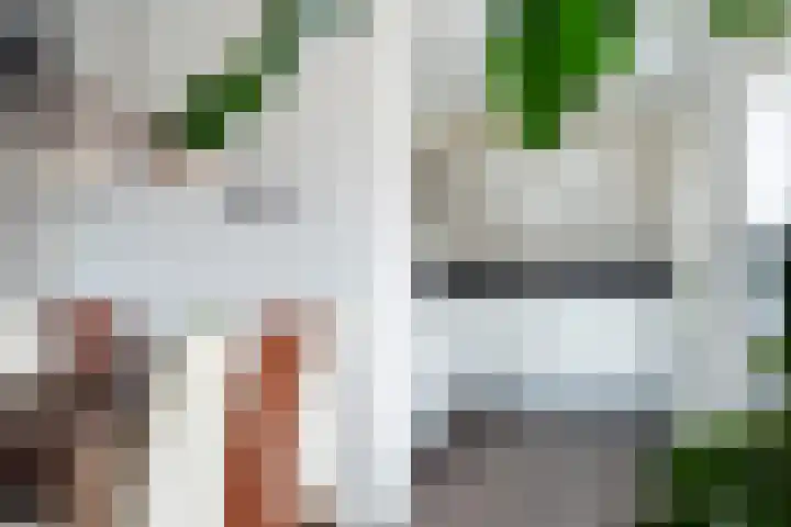 Vrouwenrecht 19 Pijnacker thumbnail 10