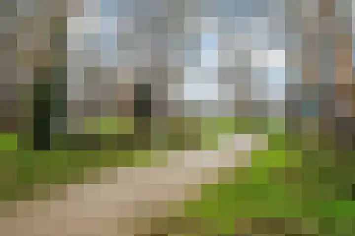Vrouwenrecht 19 Pijnacker thumbnail 30