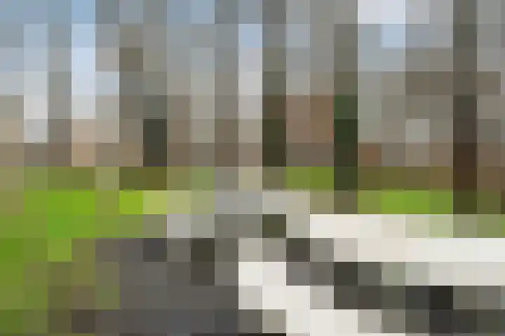Vrouwenrecht 19 Pijnacker thumbnail 31