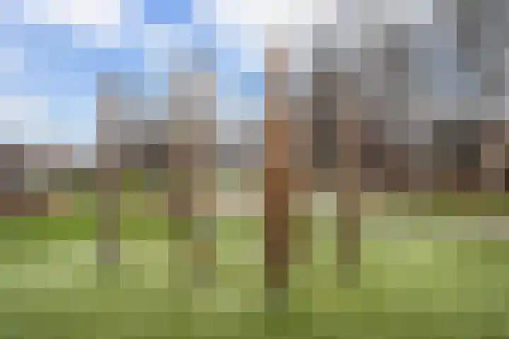 Vrouwenrecht 19 Pijnacker thumbnail 32