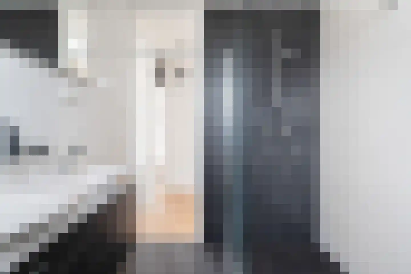 Vrouwenrecht 20 Pijnacker thumbnail 26