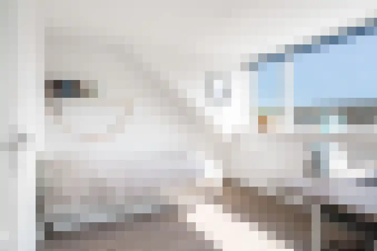 Vrouwenrecht 20 Pijnacker thumbnail 28