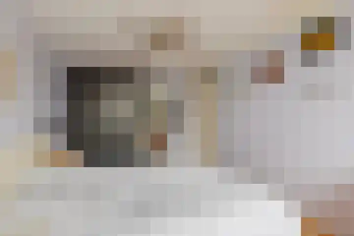 Vrouwenrecht 50 Pijnacker thumbnail 14