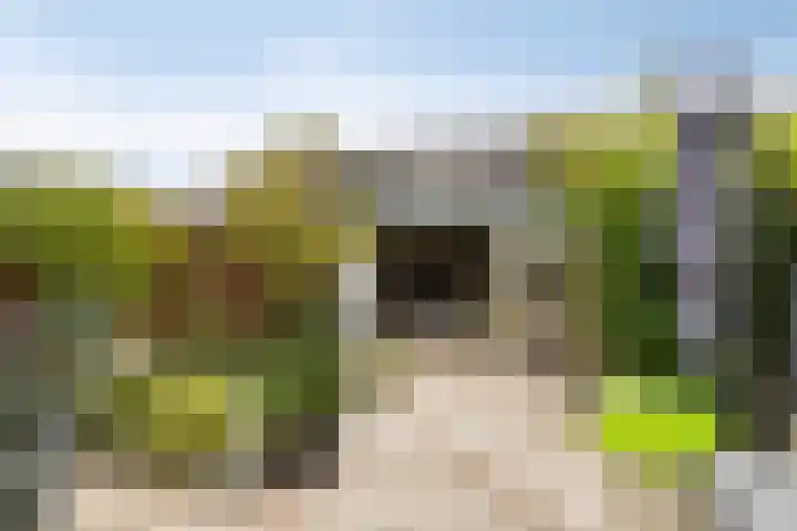 Vrouwenrecht 50 Pijnacker thumbnail 24