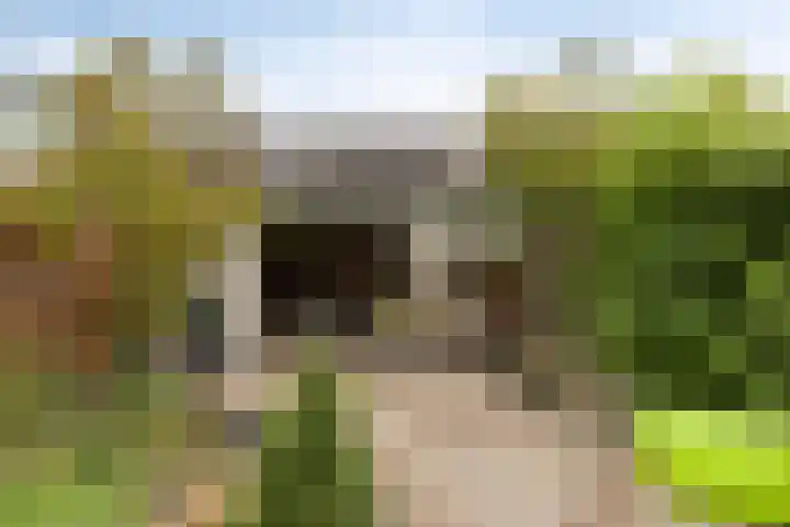 Vrouwenrecht 50 Pijnacker thumbnail 25