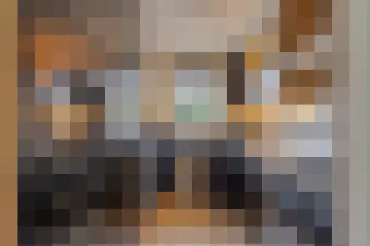 Vrouwenrecht 50 Pijnacker thumbnail 4