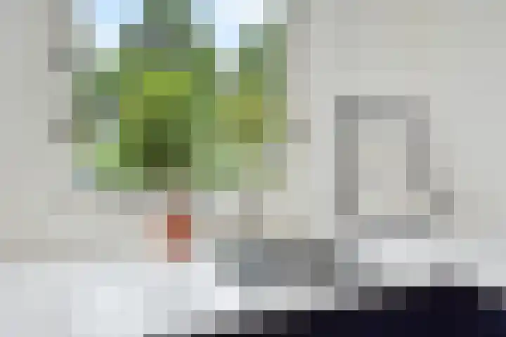 Vrouwenrecht 64 Pijnacker thumbnail 13