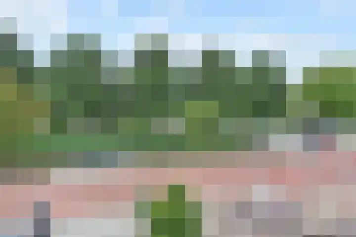 Vrouwenrecht 64 Pijnacker thumbnail 20