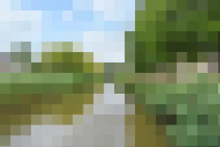 Vrouwenrecht 64 Pijnacker thumbnail 31