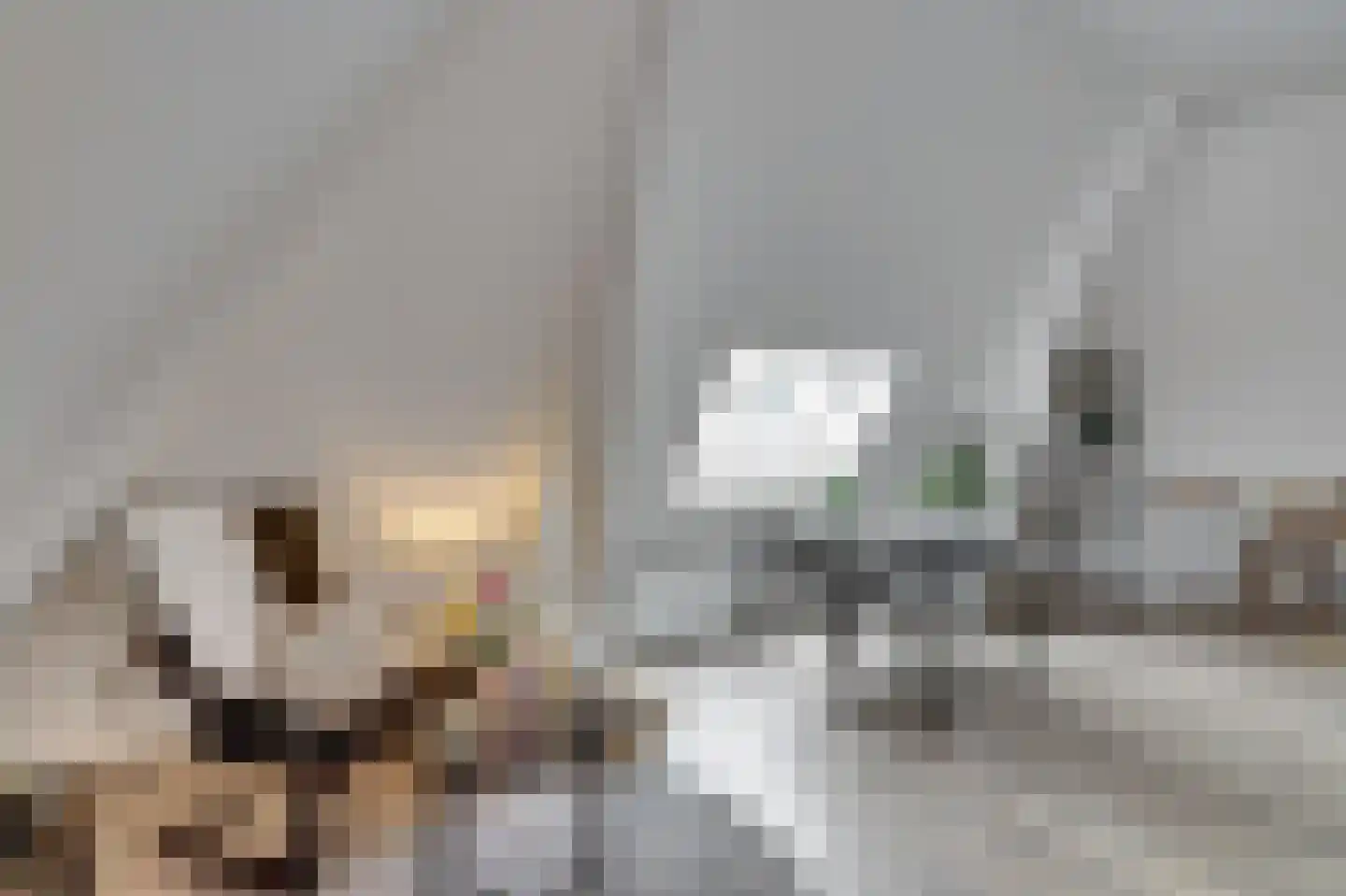 Vrouwenregt 13 E Delft thumbnail 11