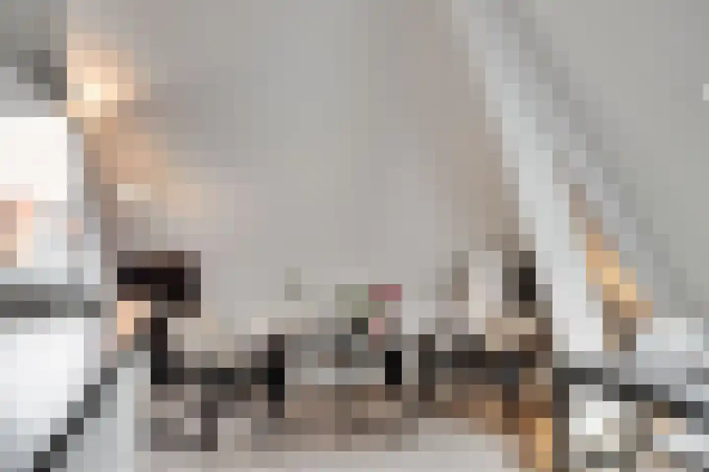 Vrouwenregt 13 E Delft thumbnail 12