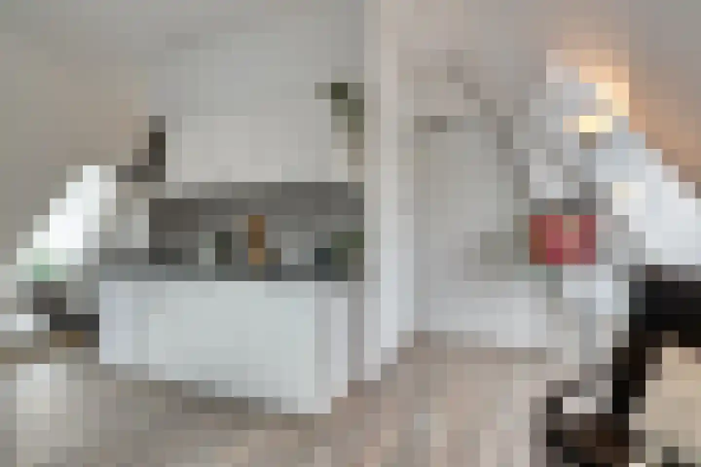 Vrouwenregt 13 E Delft thumbnail 17