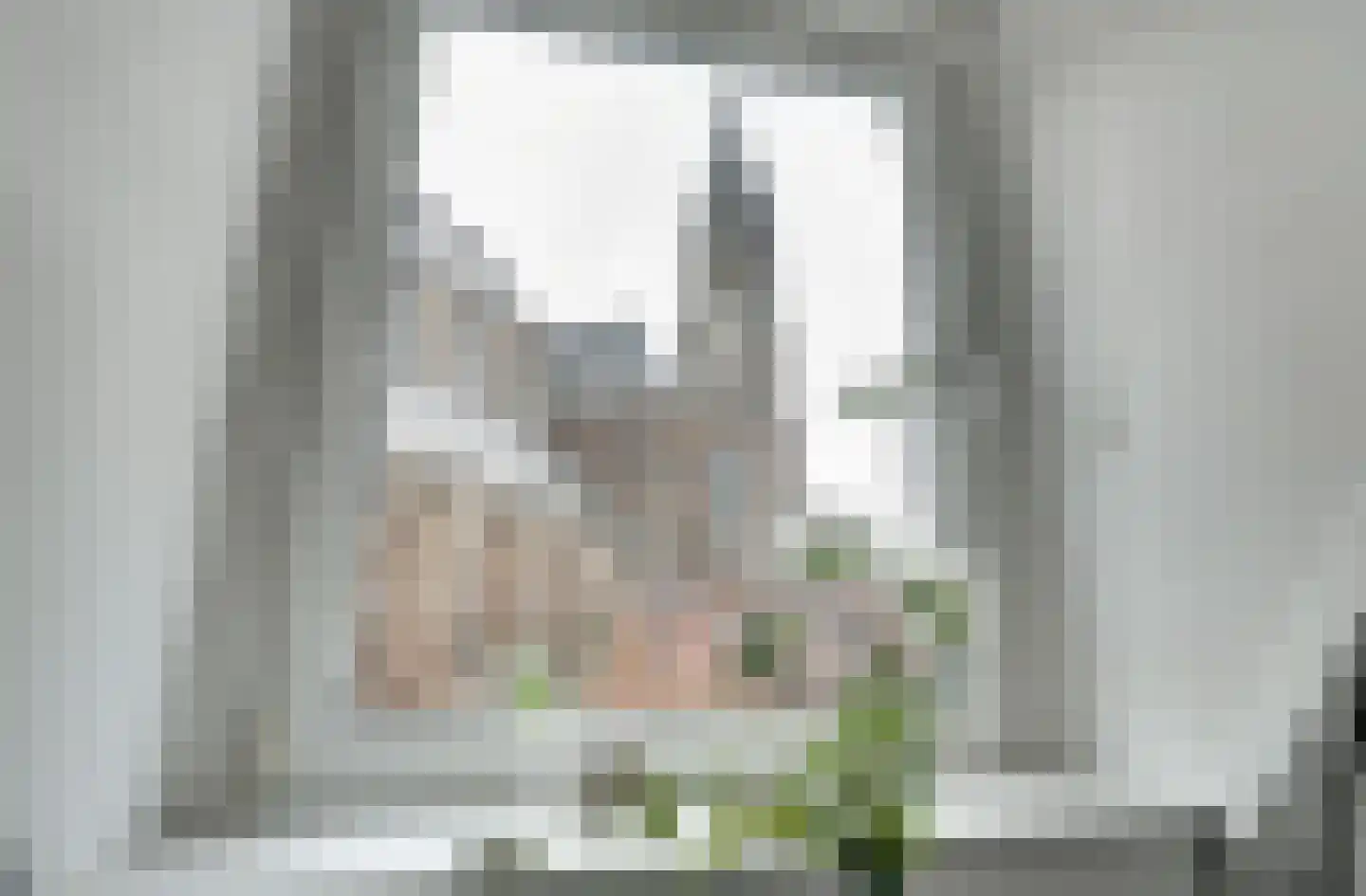 Vrouwenregt 13 E Delft thumbnail 25